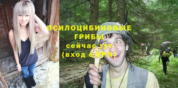 твердый Абинск