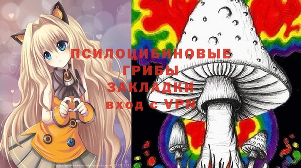 твердый Абинск