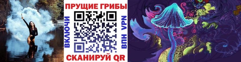 Галлюциногенные грибы Psilocybe  Анадырь 